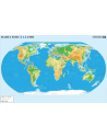 Harta Lumii Format 50 x 70 cm